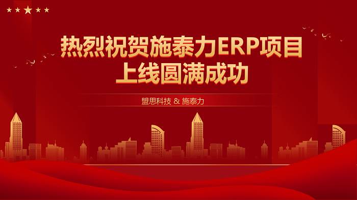 项目验收丨施泰力ERP项目圆满验收！